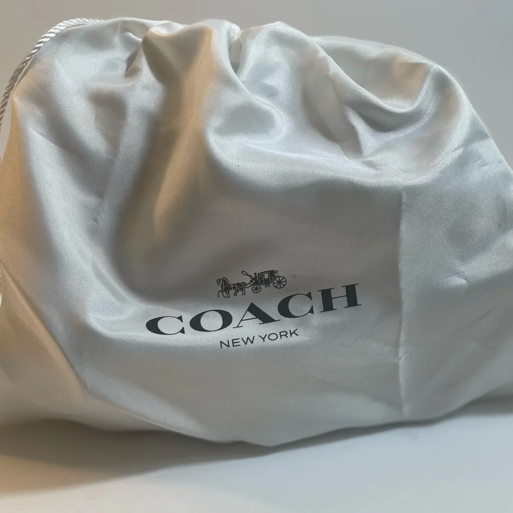 Crossbody Coach - Picture 16 of 16